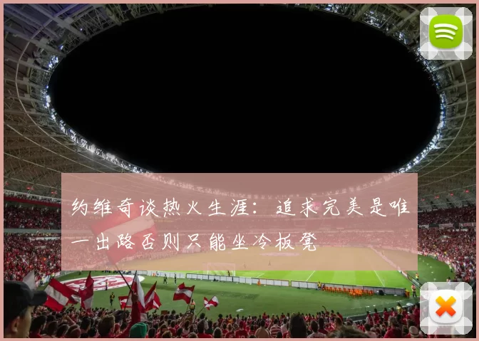 约维奇谈热火生涯：追求完美是唯一出路否则只能坐冷板凳